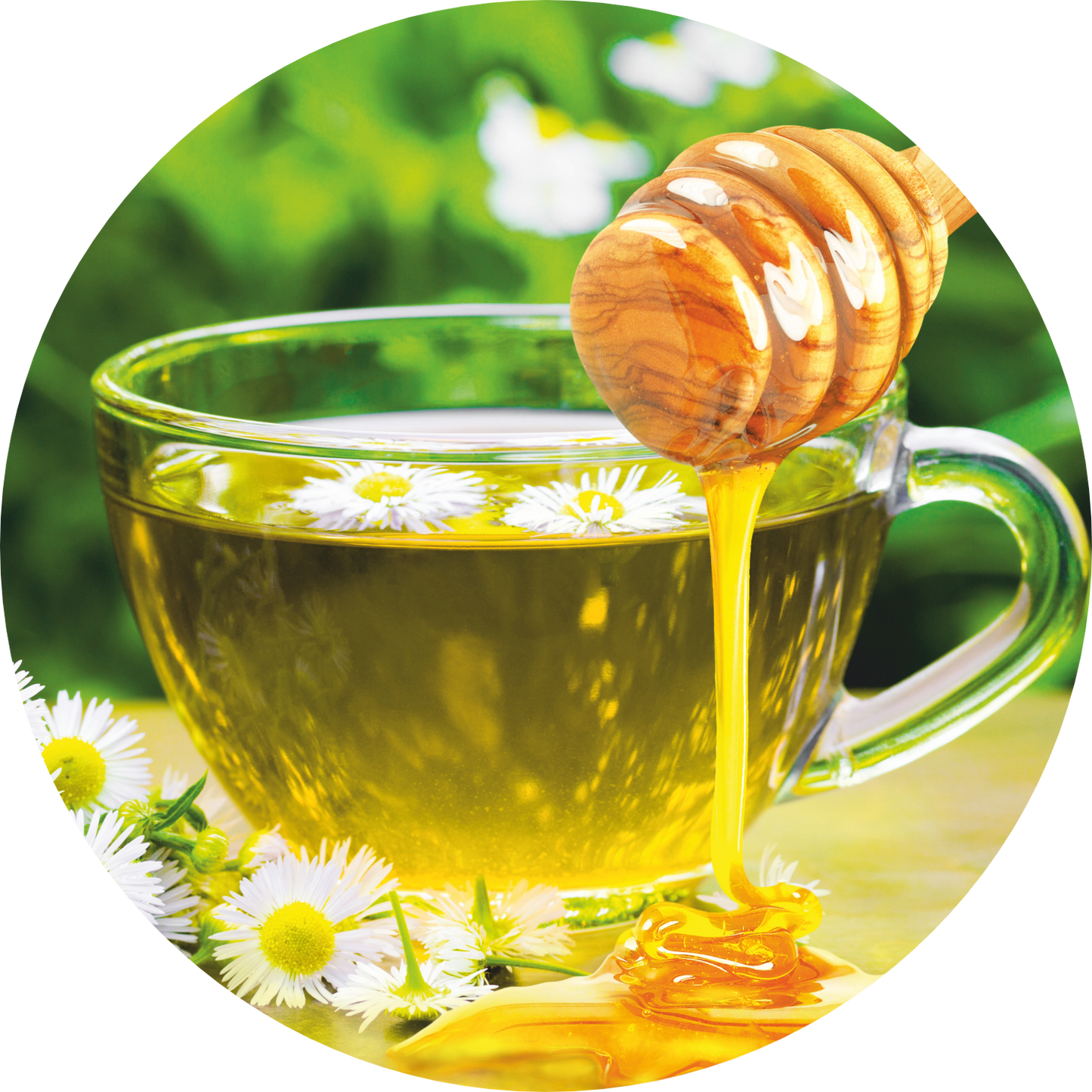CHAMOMILE HONEY GREEN TEA POD