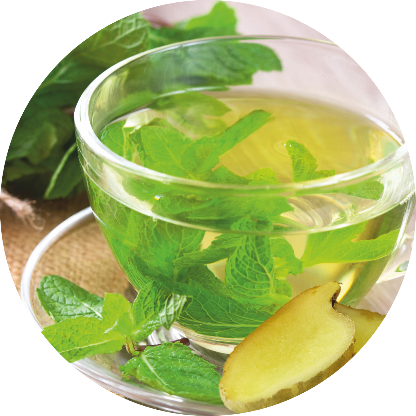 GINGER MINT GREEN TEA POD