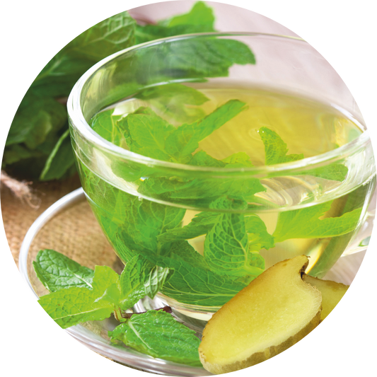 GINGER MINT GREEN TEA POD